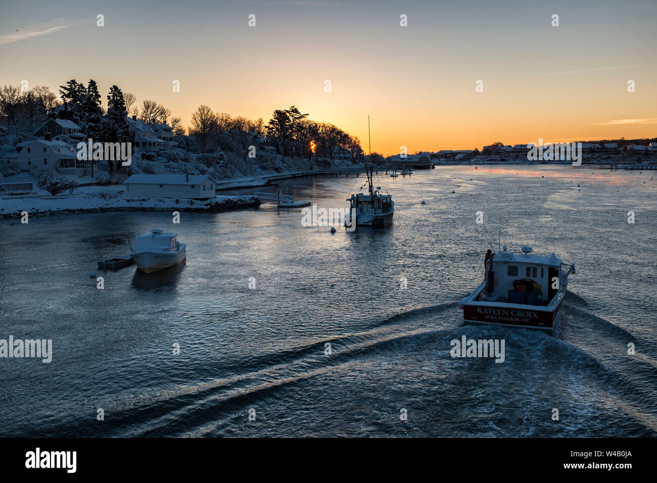 La cuisson du homard Banque D'Images