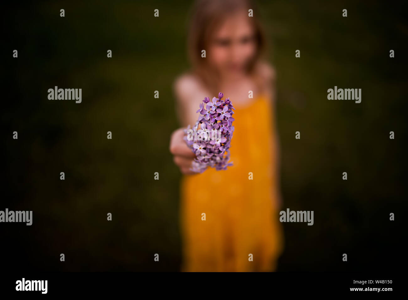 9 year old girl HOLDING LILAS AVEC L'arrière-plan flou Banque D'Images
