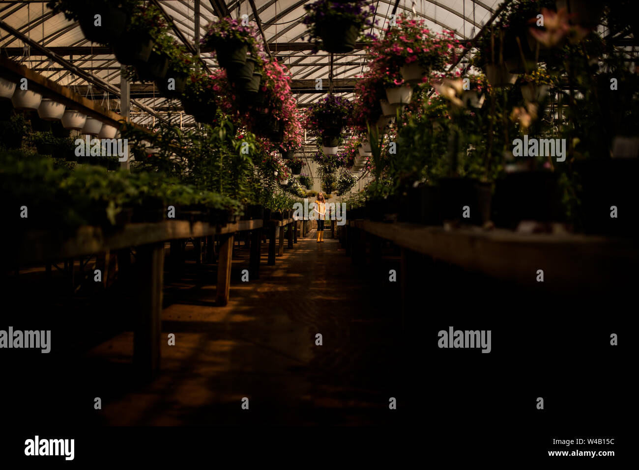 9 ans, FILLE D'UNE SERRE Banque D'Images