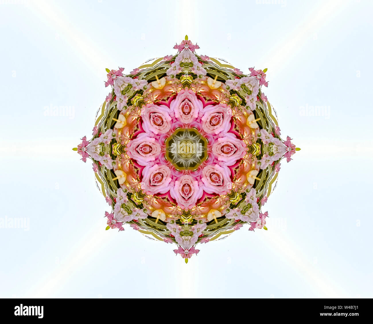 Abstract floral design avec rose jaune et roses rouges sur fond blanc. Kaléidoscope géométrique sur l'axe de symétrie en miroir de la réflexion. Col Banque D'Images