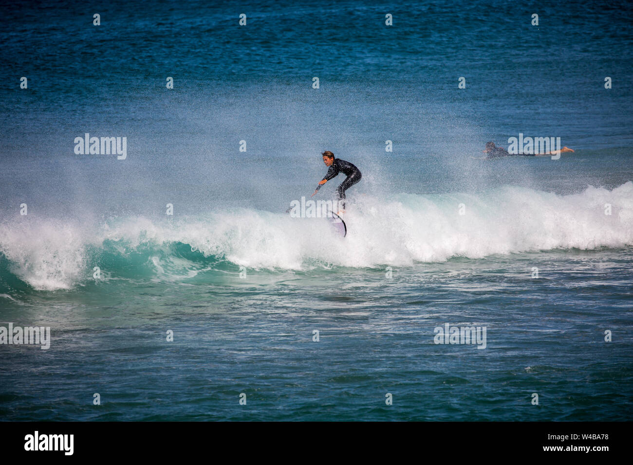 Australian Male surfer à Avalon beach à Sydney, Australie la vague des manèges Banque D'Images