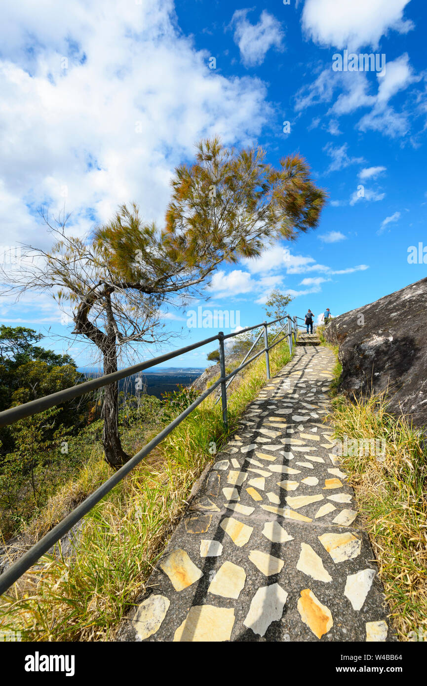 Sentier de randonnée de mosaïques menant au mont Tinbeerwah lookout, Hinterland, Sunshine Coast, Queensland, Queensland, Australie Banque D'Images