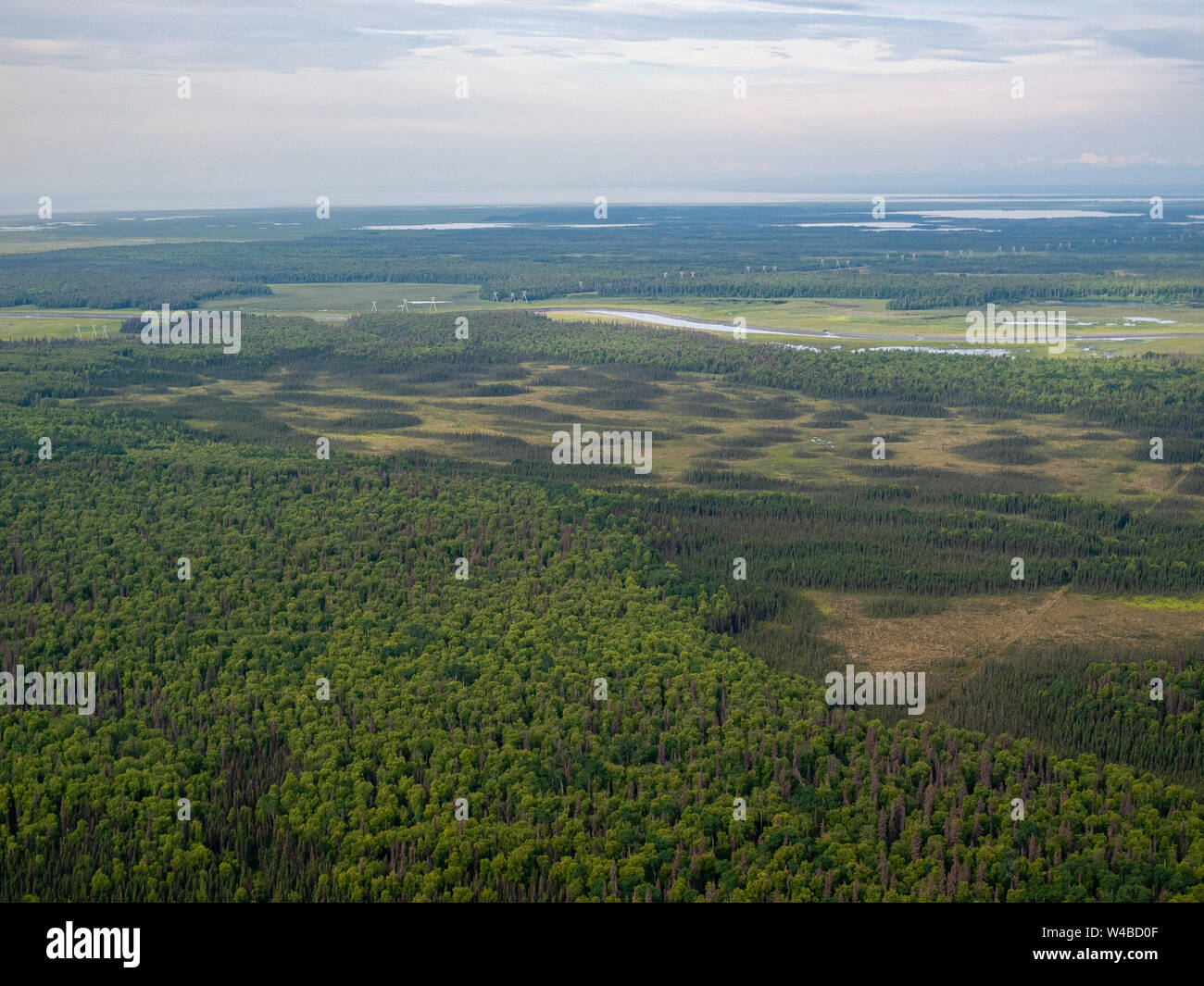 Vol de Piper Super Cub de l'aéroport de Anchorage Lake Hood PALH à Alexander Creek. Rivière Susitna, point Mackenzie. Entrée de cuisson. Pneus de toundra. Plan de bague. Banque D'Images