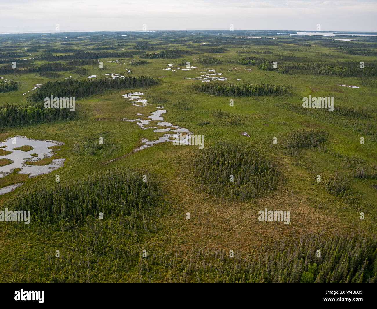 Vol de Piper Super Cub de l'aéroport de Anchorage Lake Hood PALH à Alexander Creek. Rivière Susitna, point Mackenzie. Entrée de cuisson. Pneus de toundra. Plan de bague. Banque D'Images