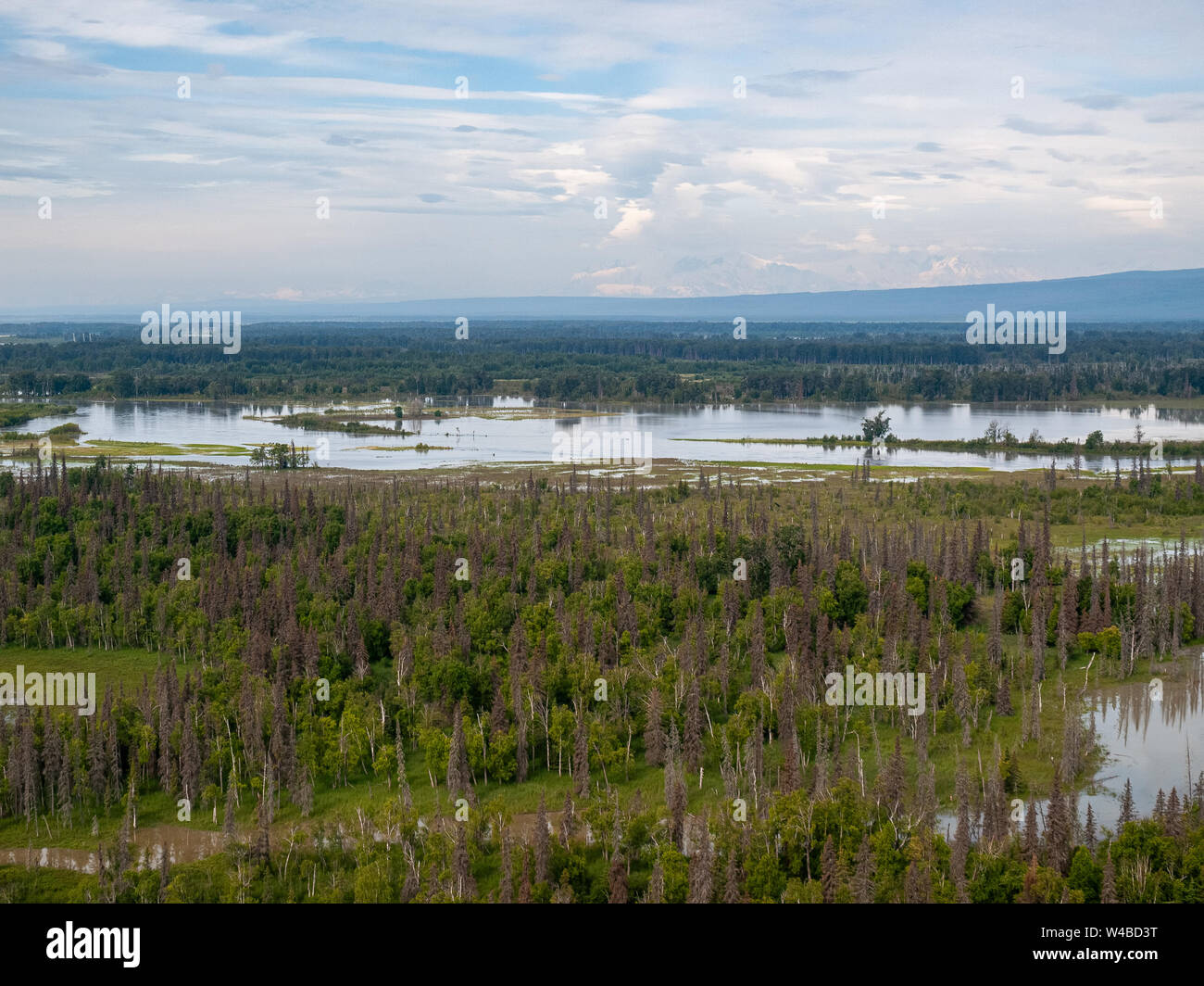 Vol de Piper Super Cub de l'aéroport de Anchorage Lake Hood PALH à Alexander Creek. Rivière Susitna, point Mackenzie. Entrée de cuisson. Pneus de toundra. Plan de bague. Banque D'Images