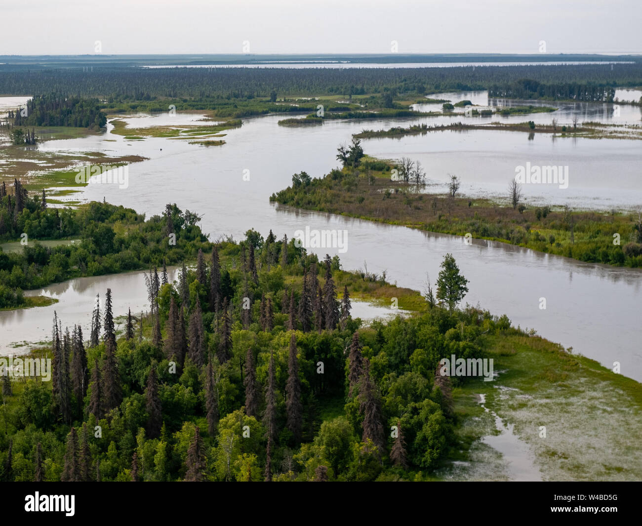 Vol de Piper Super Cub de l'aéroport de Anchorage Lake Hood PALH à Alexander Creek. Rivière Susitna, point Mackenzie. Entrée de cuisson. Pneus de toundra. Plan de bague. Banque D'Images