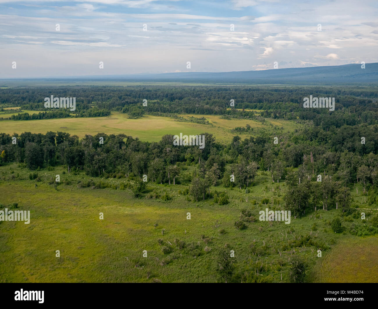 Vol de Piper Super Cub de l'aéroport de Anchorage Lake Hood PALH à Alexander Creek. Rivière Susitna, point Mackenzie. Entrée de cuisson. Pneus de toundra. Plan de bague. Banque D'Images
