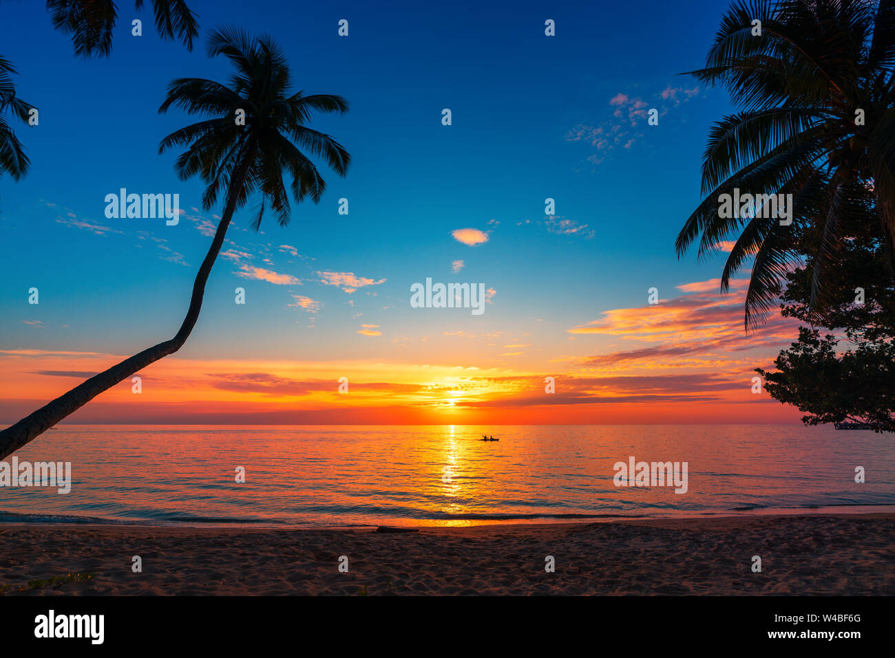 Nature paysage incroyable au coucher du soleil plage tropicale avec palmiers de noix de coco silhouette, ciel bleu et soleil à l'horizon Banque D'Images