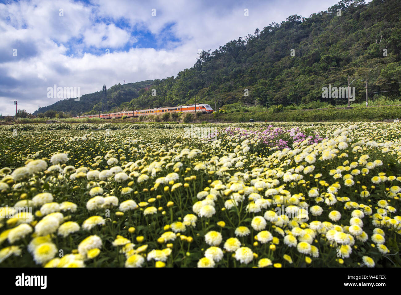 Fleuriste et le Train Banque D'Images