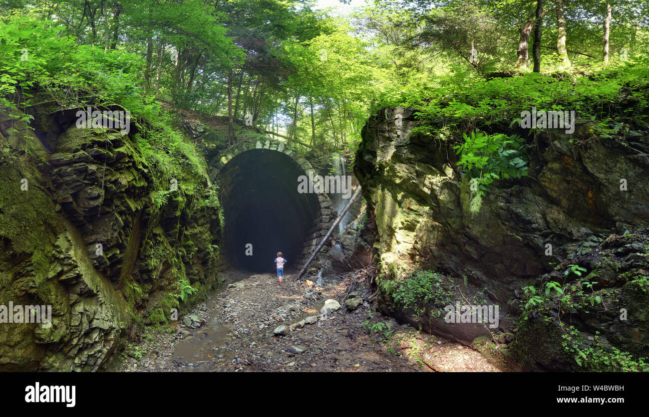 Tunnel avec forêt vert paysage, Slavosovsky, Slovaquie Banque D'Images