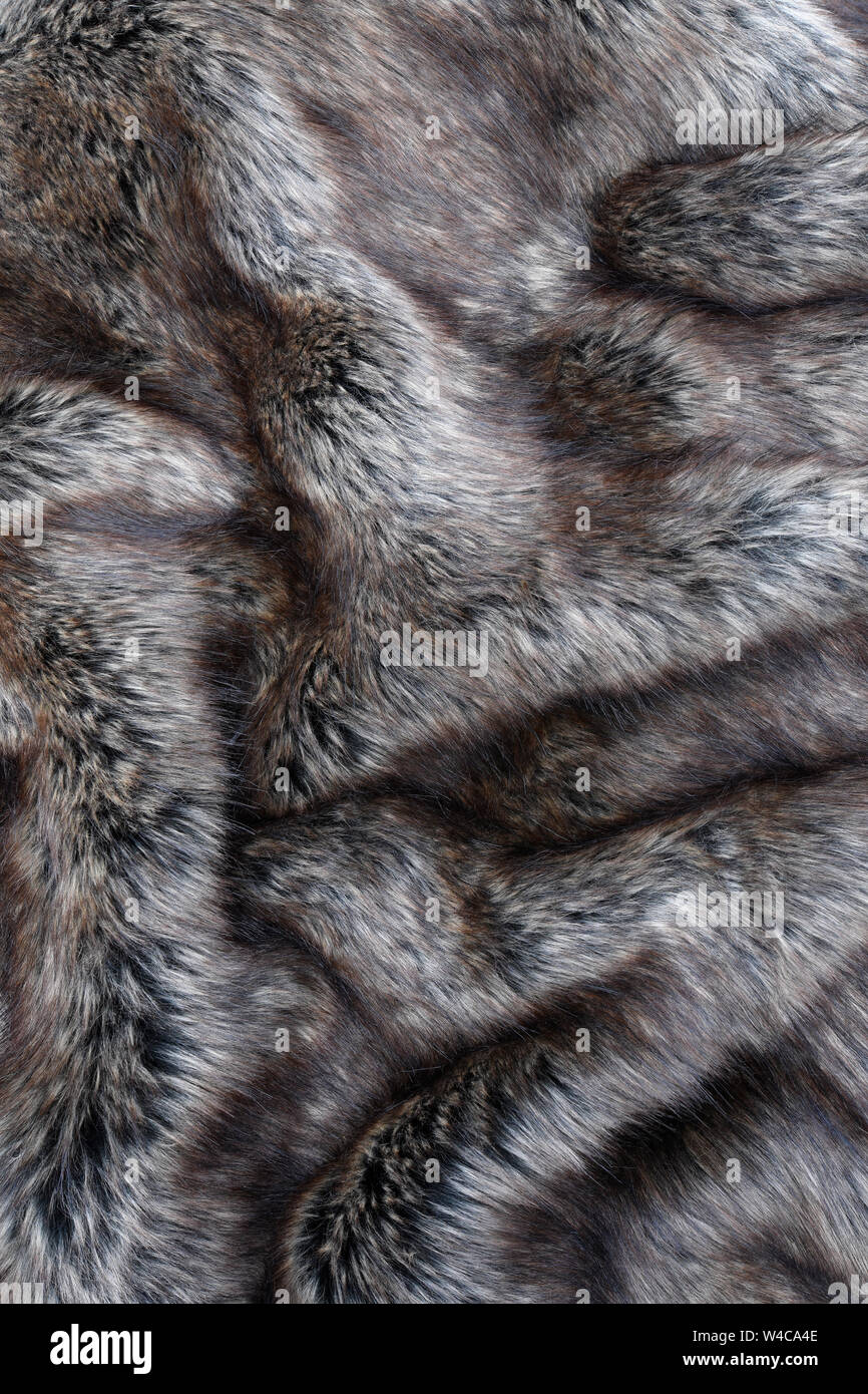Fausse Fourrure loup texture background Banque D'Images