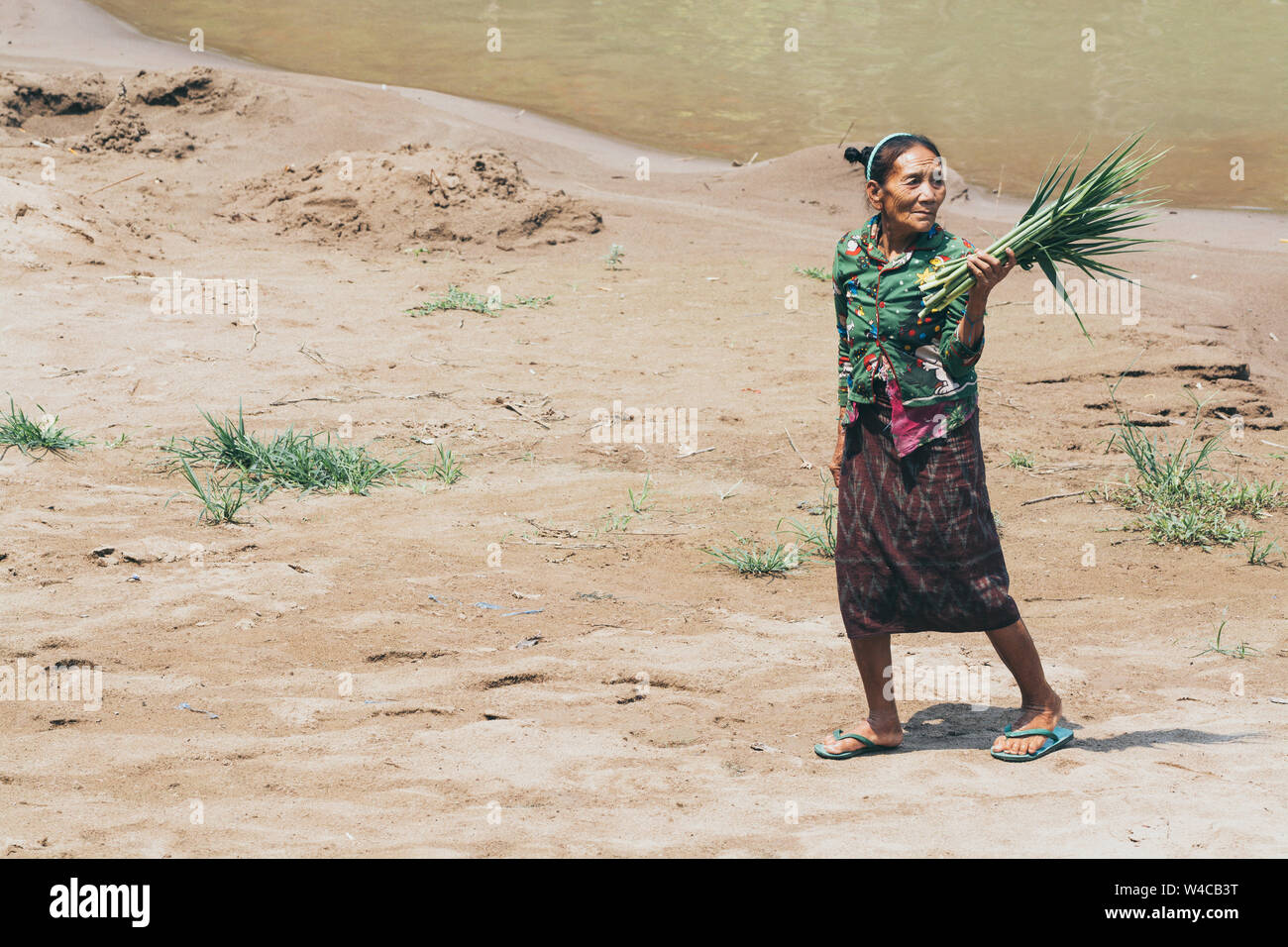 Luang Prabang, Laos - Avril 2019 : femme porte laotien de la canne à sucre et de feuilles de roseau sur le bord de la rivière Banque D'Images