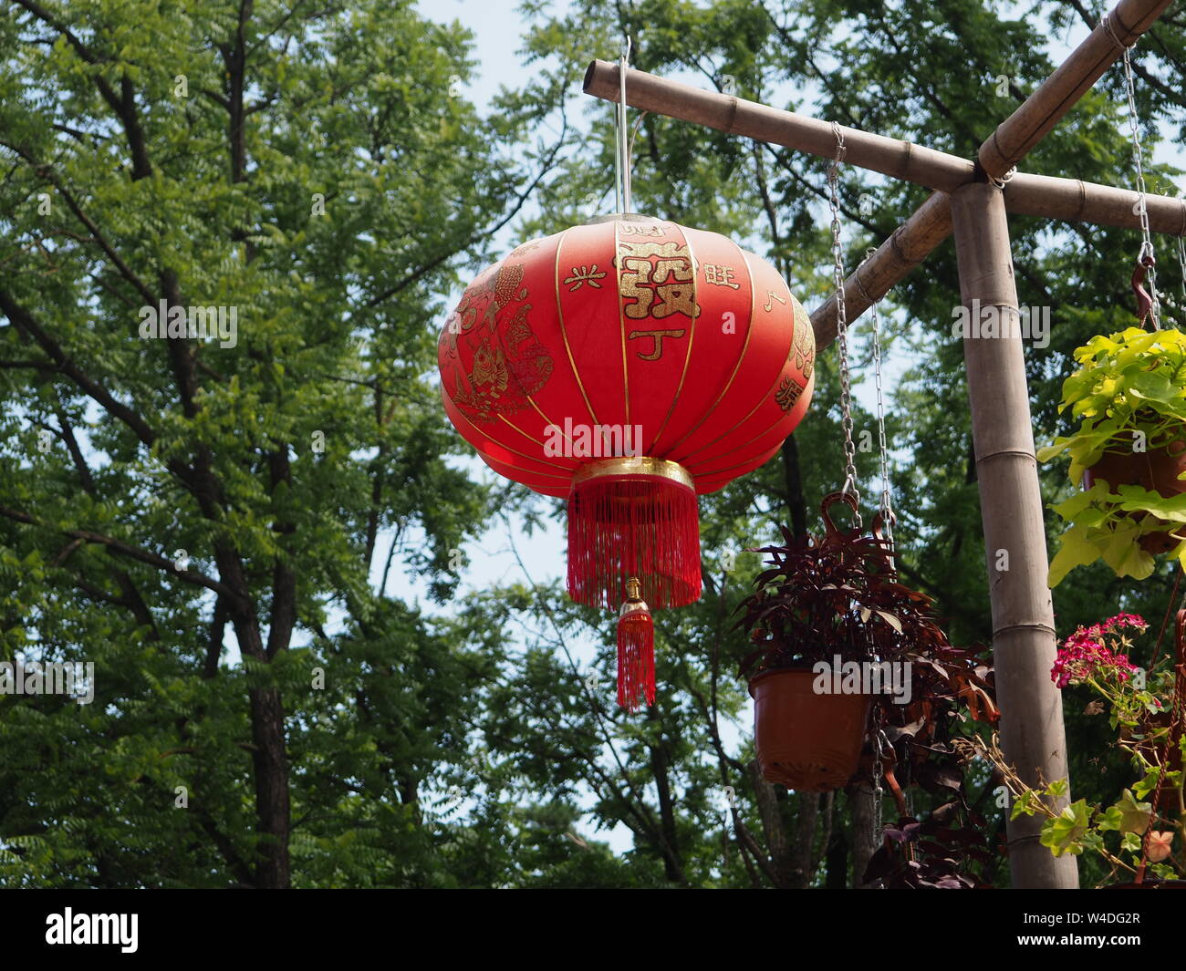 Les lanternes de papier chinois rouge sont décorées comme le symbole de la chance et le bonheur pendant le temps du festival,c'est une culture traditionnelle pour les Chinois Banque D'Images