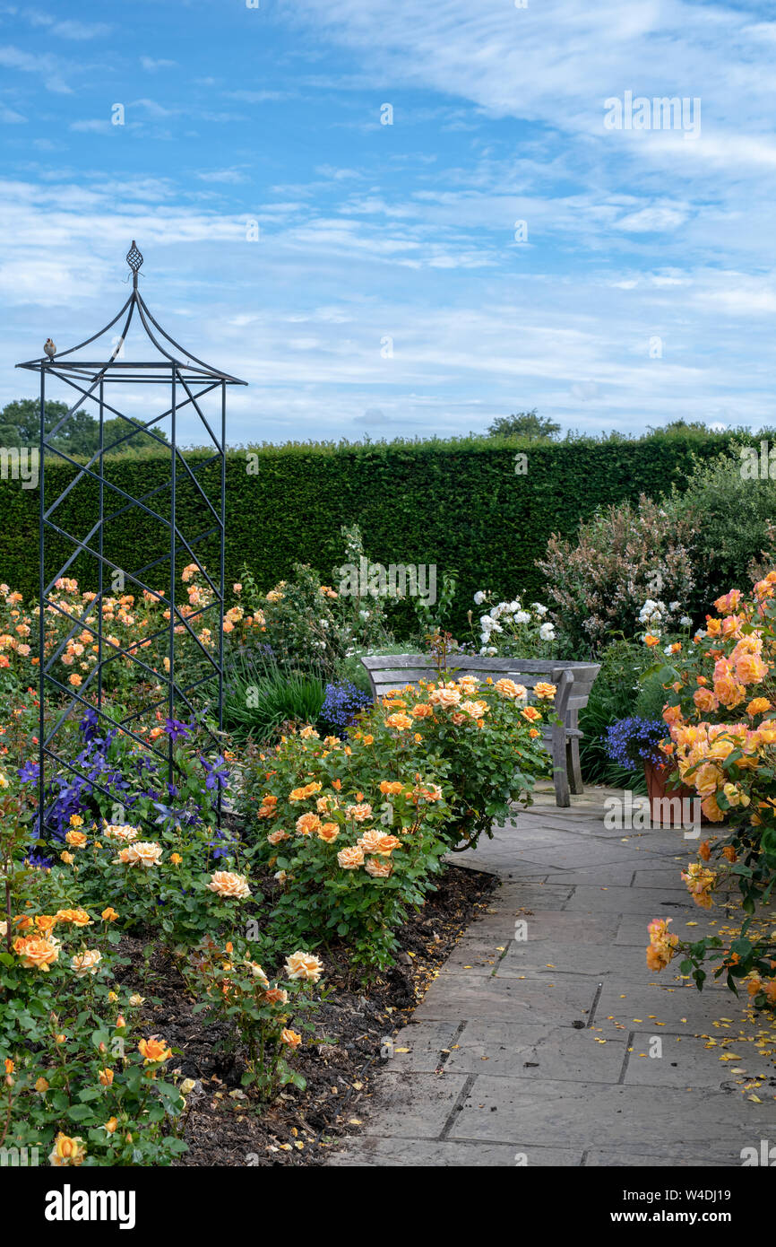 Jardin de roses en été à RHS Rosemoor gardens, Great Torrington, Devon, Angleterre Banque D'Images