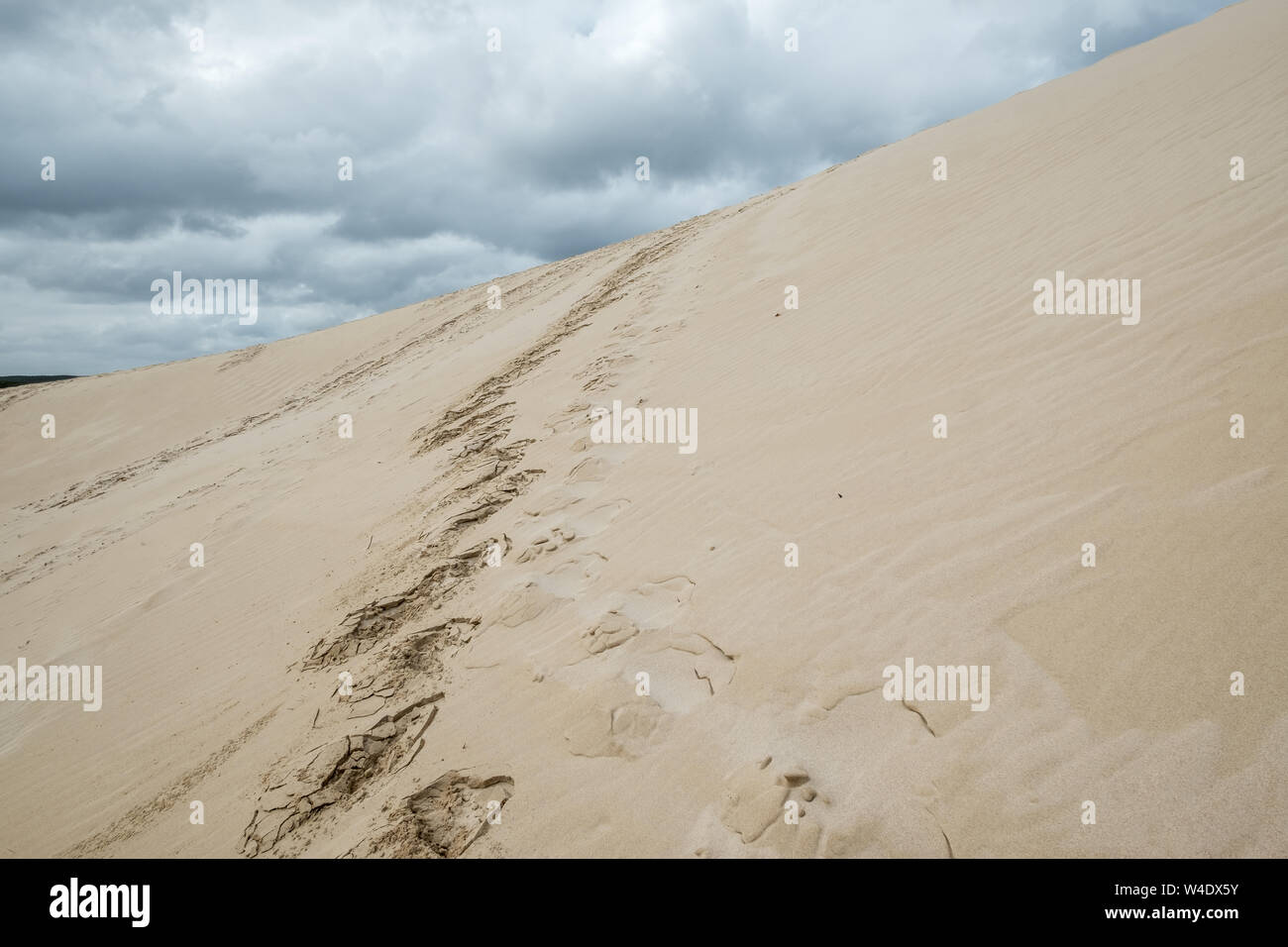 Zig-zag de piste conduit vers le haut des dunes de sable. Jour nuageux et humide sur Kangaroo Island, Australie du Sud Banque D'Images
