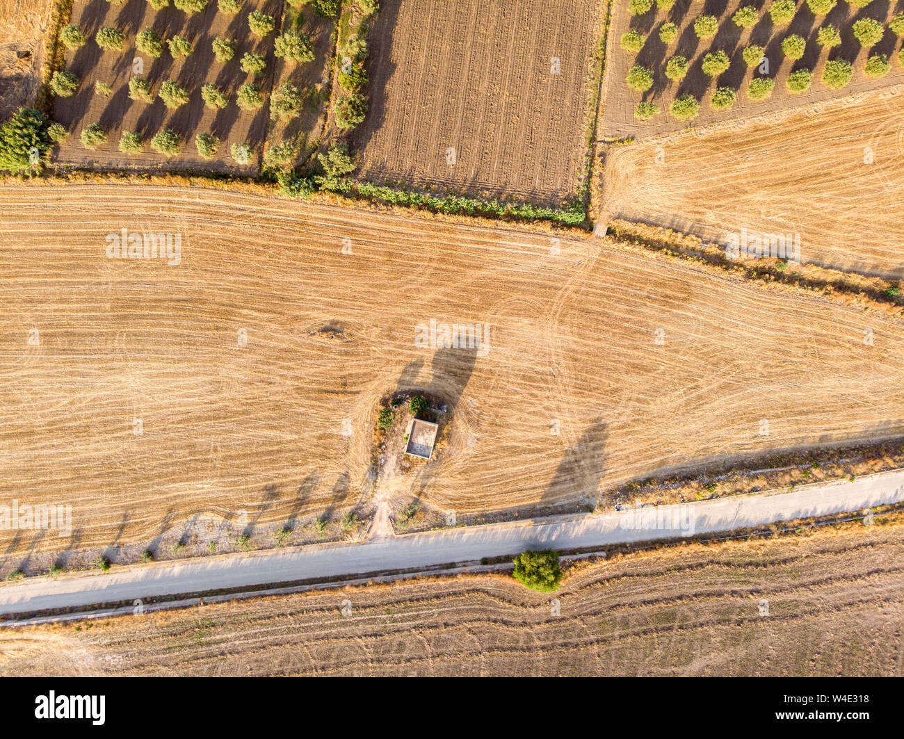 Vue aérienne d'une zone rurale dans la matinée, la photo est prise dans un champ dans le sud de la Sicile, Italie Banque D'Images