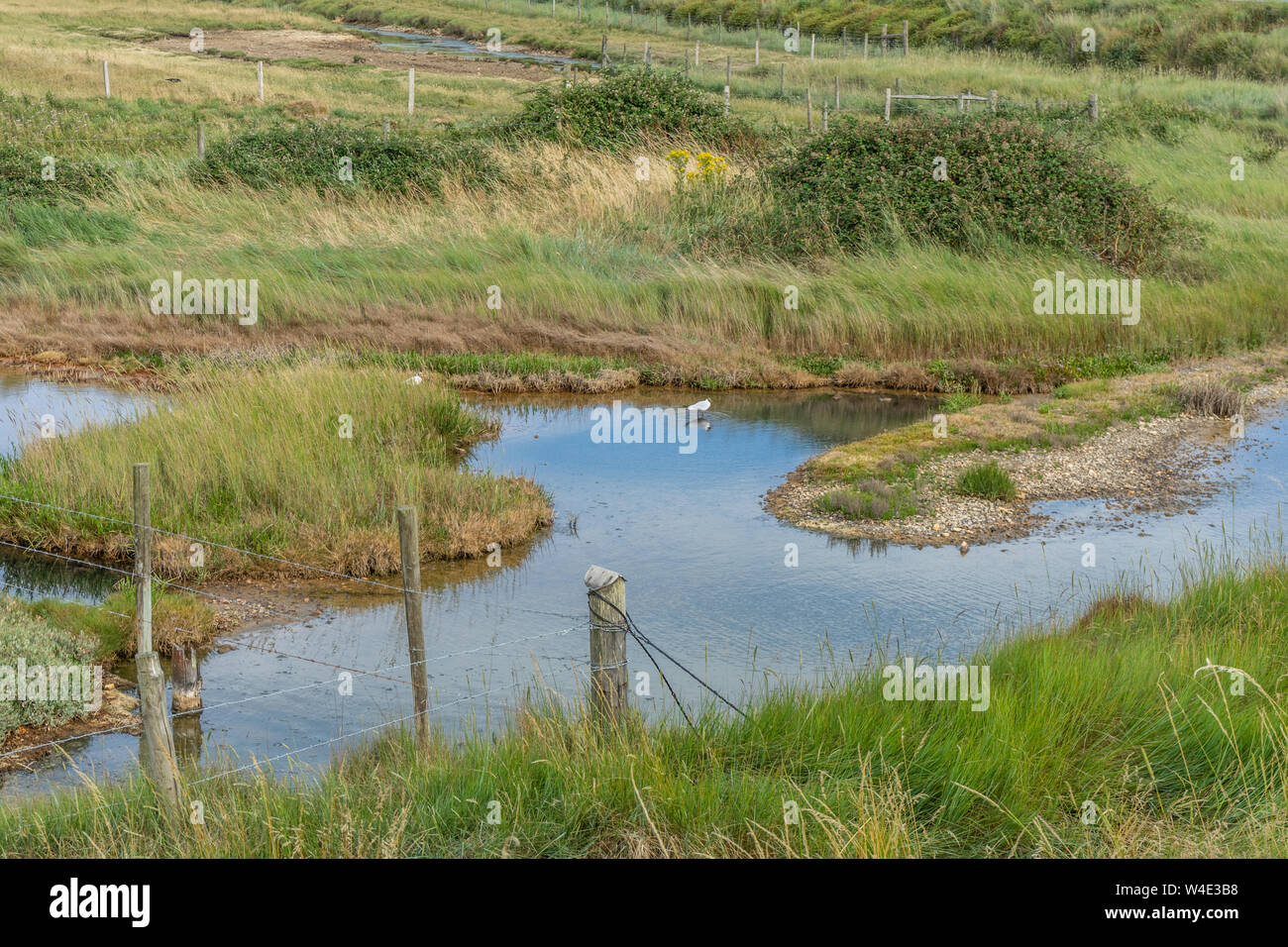 Réserve Naturelle des Marais de Farlington le long de la manière à Port Solent Langstone pendant l'été 2019, à Portsmouth, Hampshire, England, UK Banque D'Images