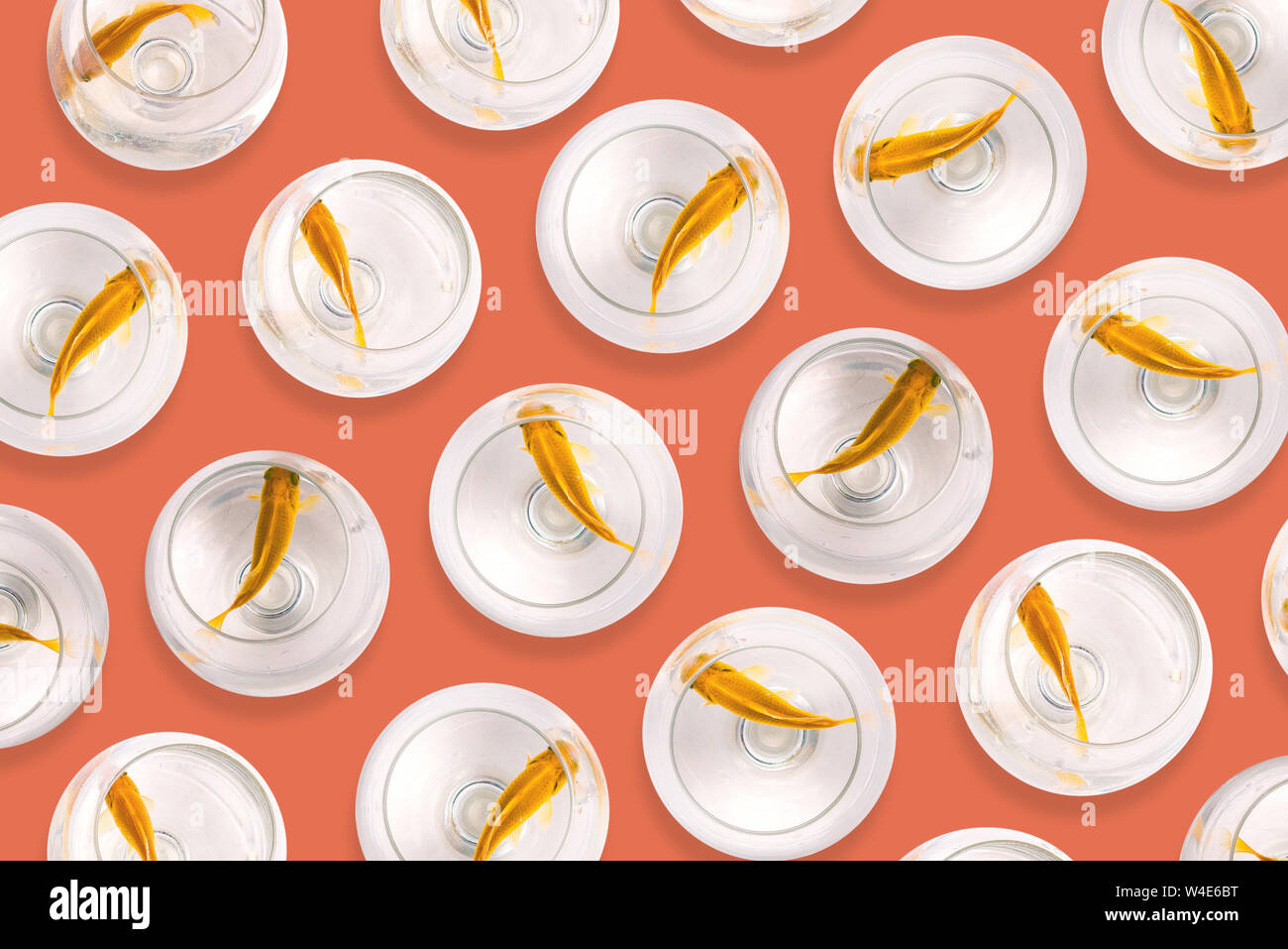 Les poissons dans des gobelets en verre sur un fond rouge. Les poissons rouges nagent dans l'eau. Poissons d'aquarium. Vente et achat d'animaux domestiques. Art Gallery, Créatif, Créatif Banque D'Images