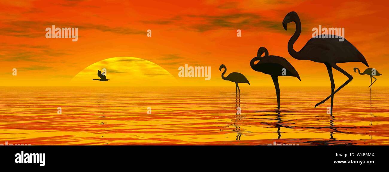 Plusieurs flamants pacifiques par beau coucher du soleil - 3D rendre Banque D'Images