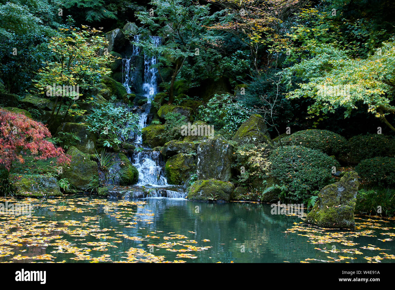 Beau jardin Japonais à l'automne à Portland, Oregon, USA Banque D'Images