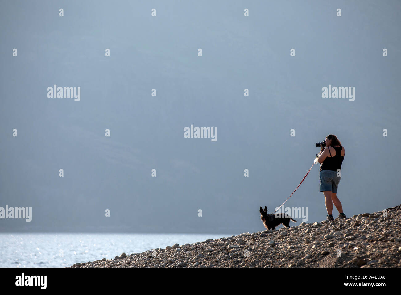 Femme à prendre des photos dans le parc provincial Strathcona, près de Campbell River, sur l'île de Vancouver, Colombie-Britannique, Canada Banque D'Images