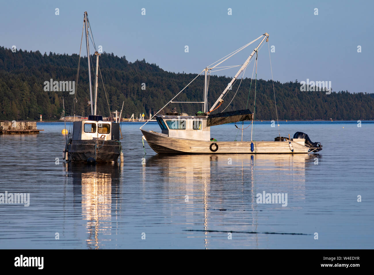 Bateaux d'huîtres à l'Union européenne dans la baie Baynes, île de Vancouver, Colombie-Britannique, Canada Banque D'Images