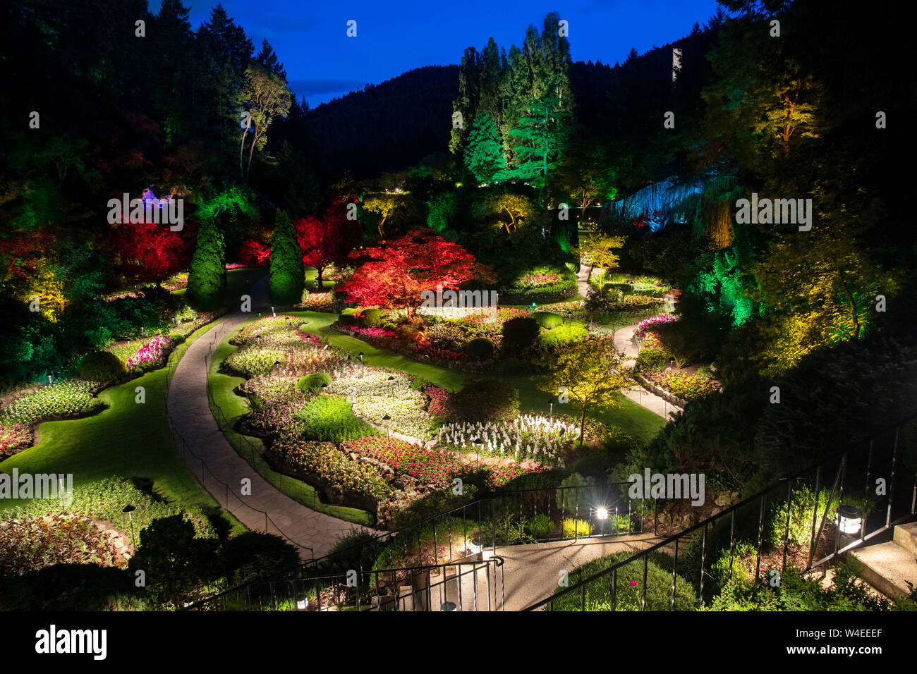 Jardin en contrebas éclairés la nuit à Butchart Gardens - Brentwood Bay, près de Victoria, île de Vancouver, Colombie-Britannique, Canada Banque D'Images