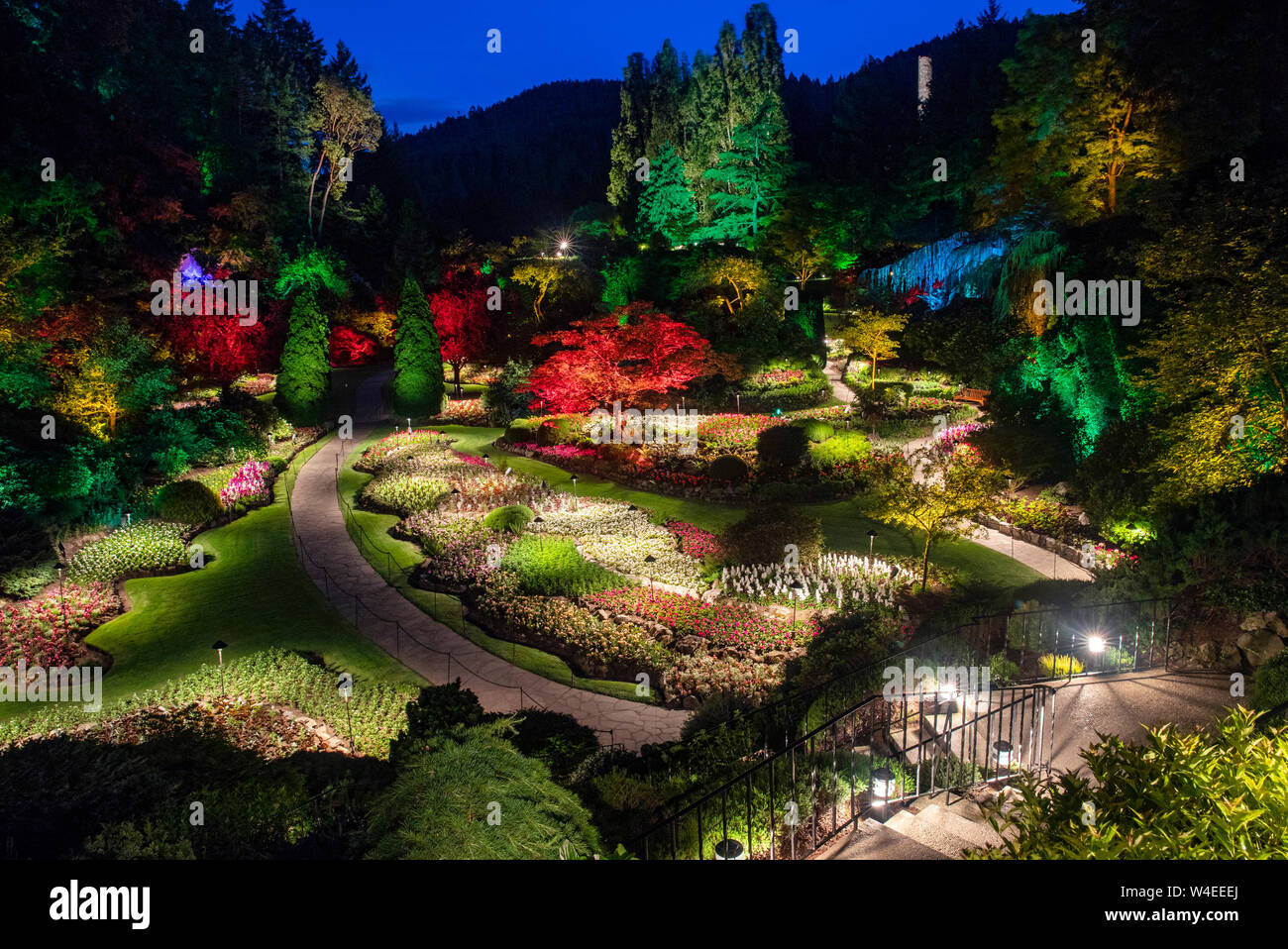 Jardin en contrebas éclairés la nuit à Butchart Gardens - Brentwood Bay, près de Victoria, île de Vancouver, Colombie-Britannique, Canada Banque D'Images