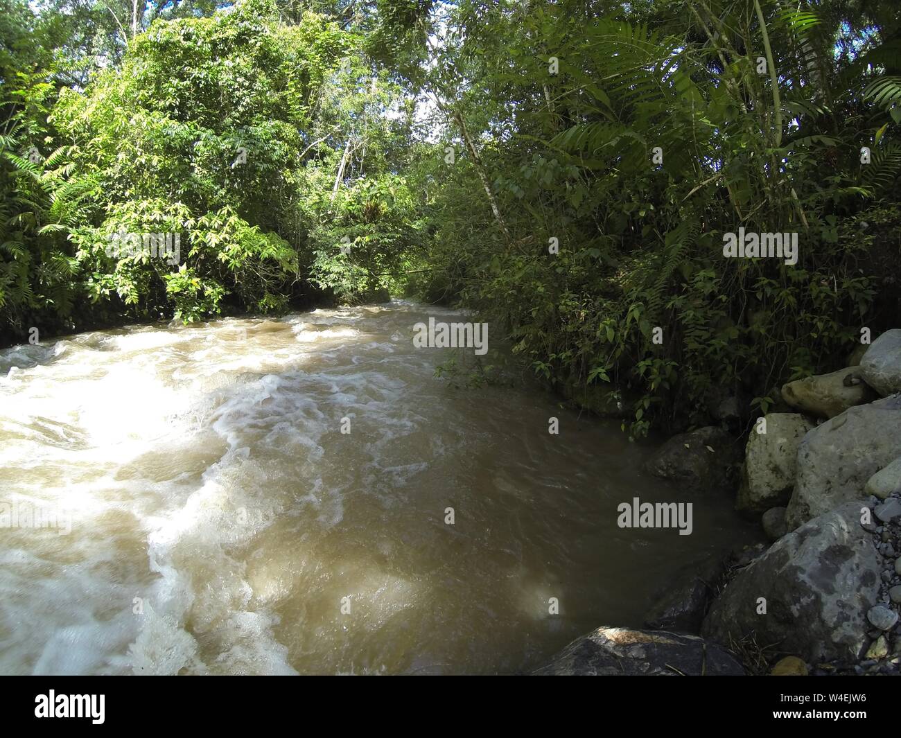 Jungle, rivière ou ruisseau de l'eau des inondations dans le parc national du Honduras près du lac Yojoa, rapids blancs de l'eau Banque D'Images