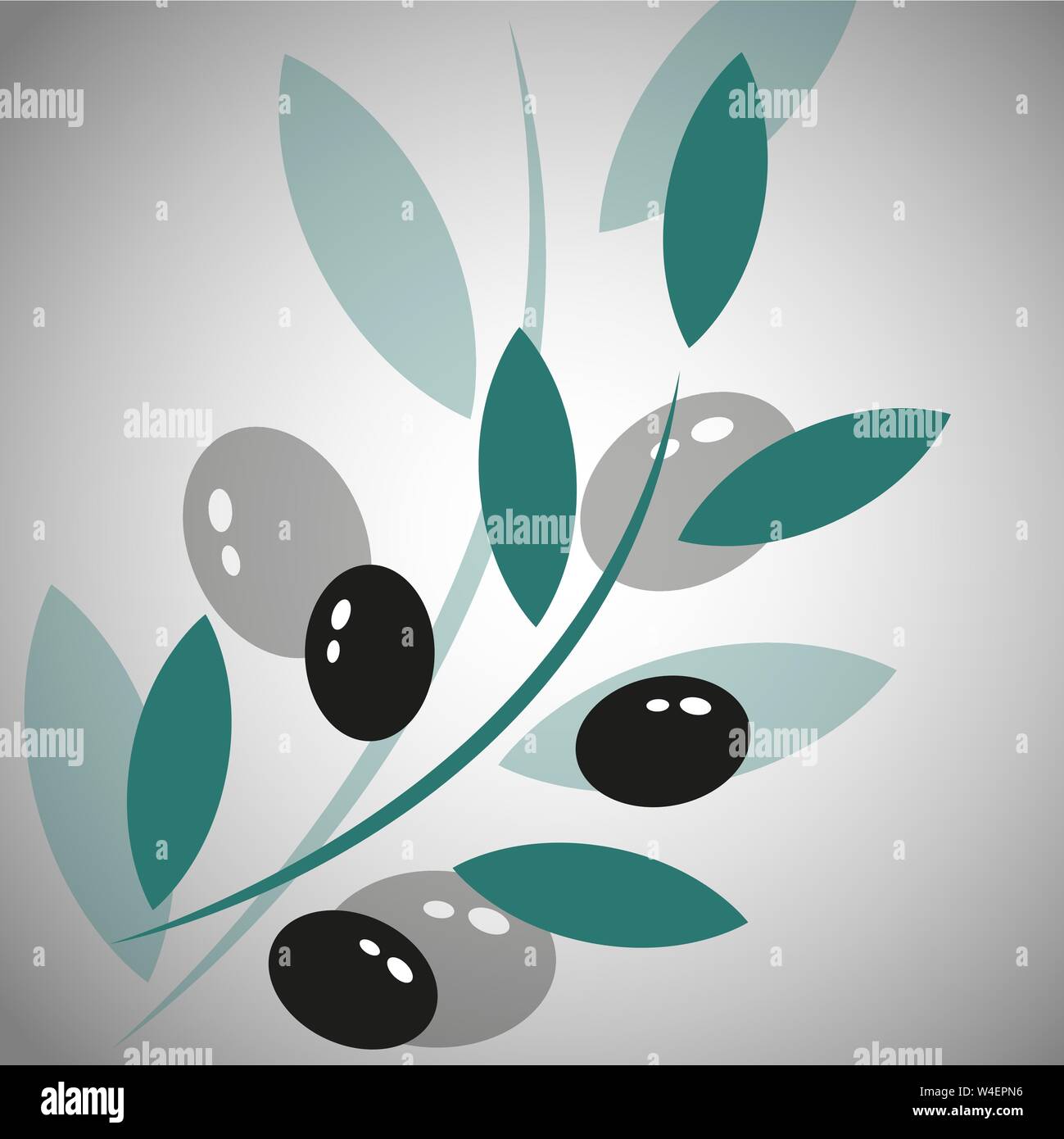 Belle illustration avec la branche d'olives noires sur fond blanc Illustration de Vecteur
