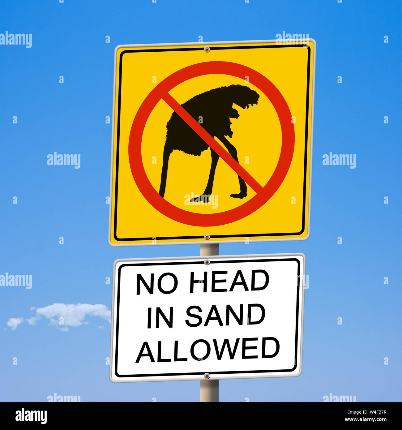 Pas de tête d'autruche dans le sable admis road sign 3d illustration Banque D'Images