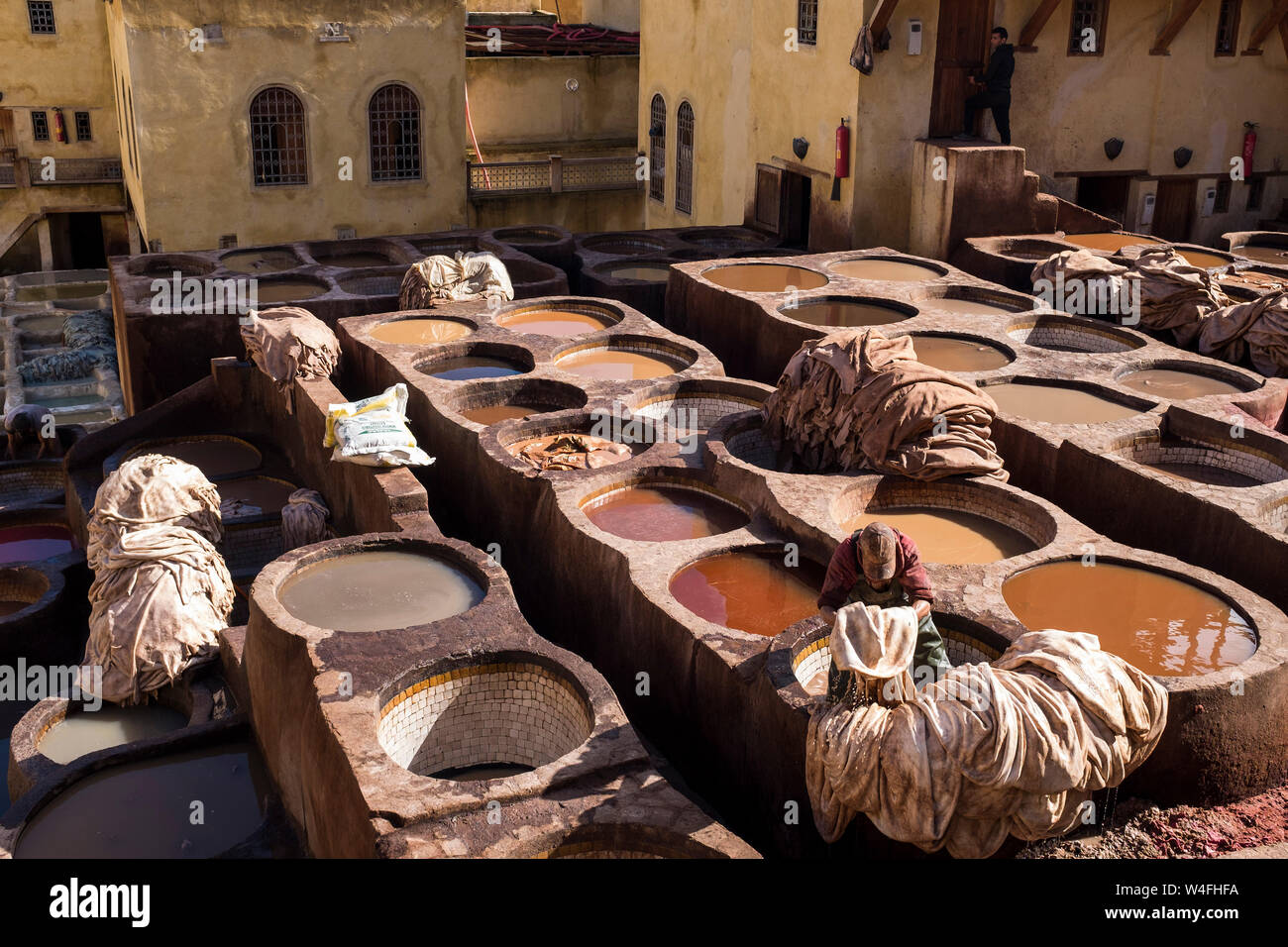 Maroc, Fès, Medina, tannery Banque D'Images