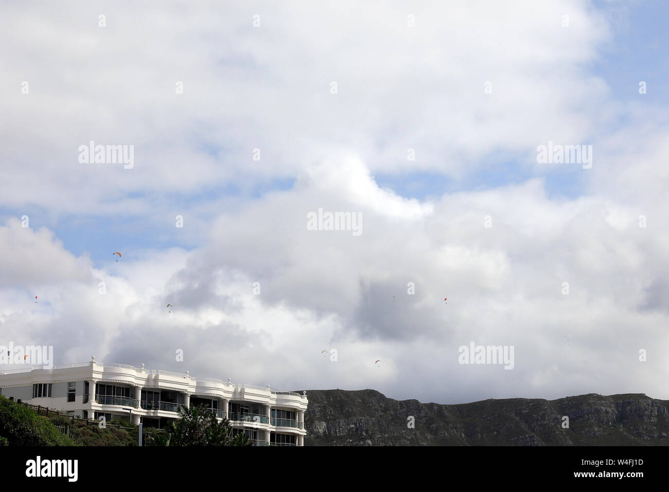 Les plongeurs du ciel dans l'air, Hermanus, Afrique du Sud , d'Overberg. Banque D'Images