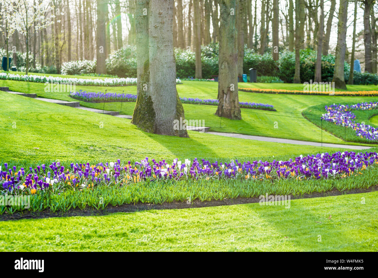 Jardin fleuri de fleurs Banque D'Images