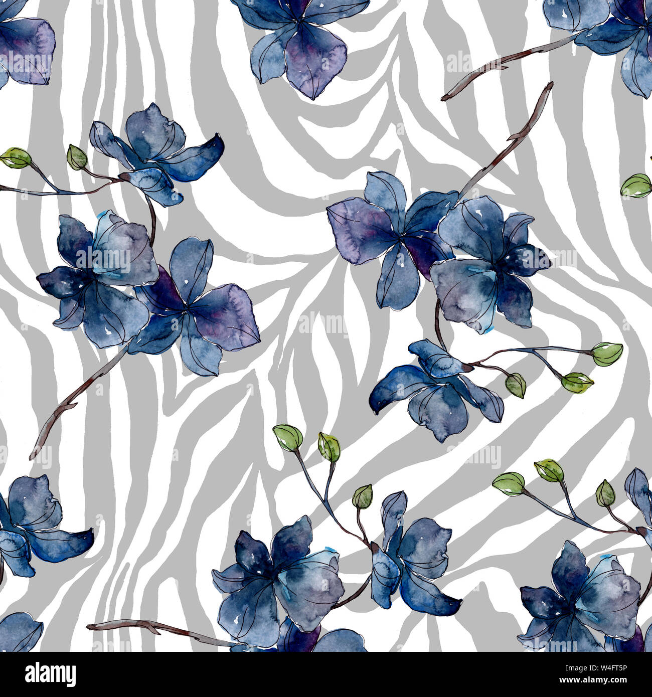 Floral fleurs orchidées botaniques. Printemps sauvage de fleurs sauvages de la feuille. Illustration à l'aquarelle. Aquarelle Dessin aquarelle de mode. Fond transparent Banque D'Images