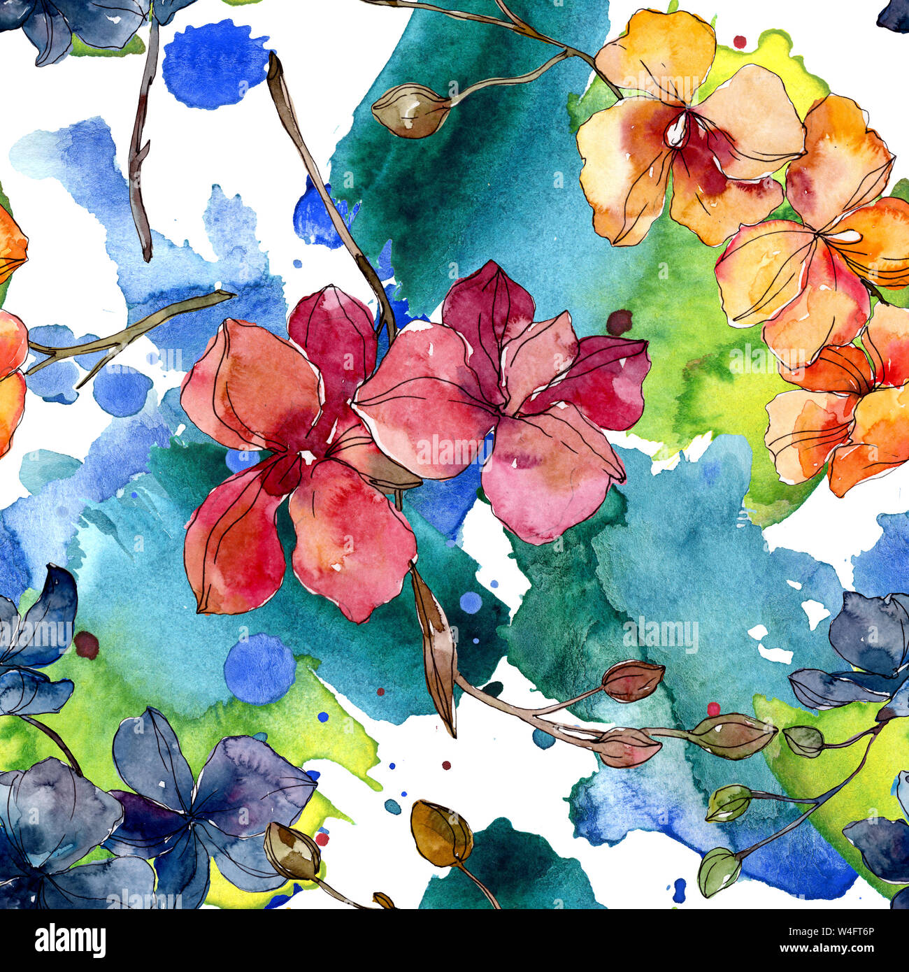 Floral fleurs orchidées botaniques. Printemps sauvage de fleurs sauvages de la feuille. Illustration à l'aquarelle. Aquarelle Dessin aquarelle de mode. Fond transparent Banque D'Images