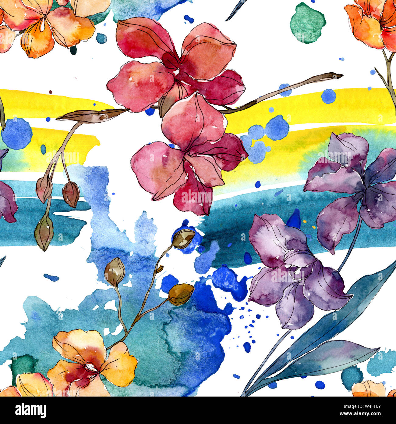 Floral fleurs orchidées botaniques. Printemps sauvage de fleurs sauvages de la feuille. Illustration à l'aquarelle. Aquarelle Dessin aquarelle de mode. Fond transparent Banque D'Images