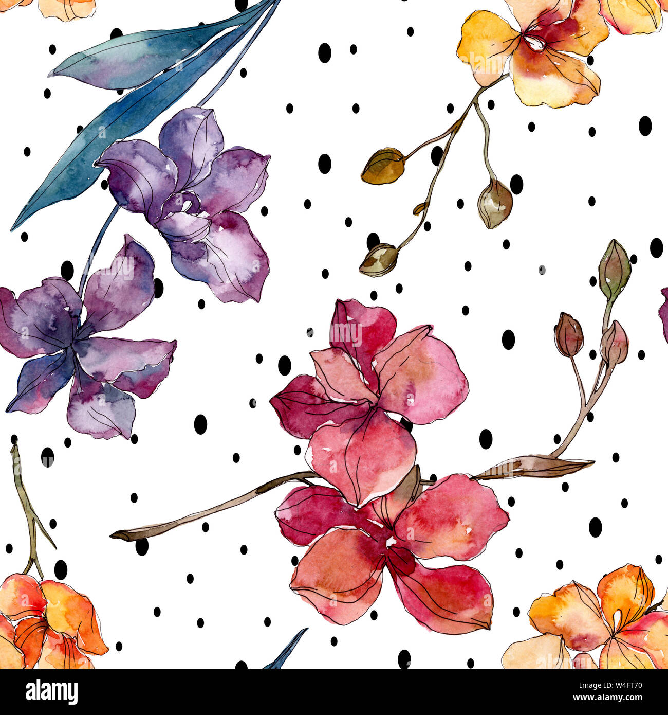 Floral fleurs orchidées botaniques. Printemps sauvage de fleurs sauvages de la feuille. Illustration à l'aquarelle. Aquarelle Dessin aquarelle de mode. Fond transparent Banque D'Images