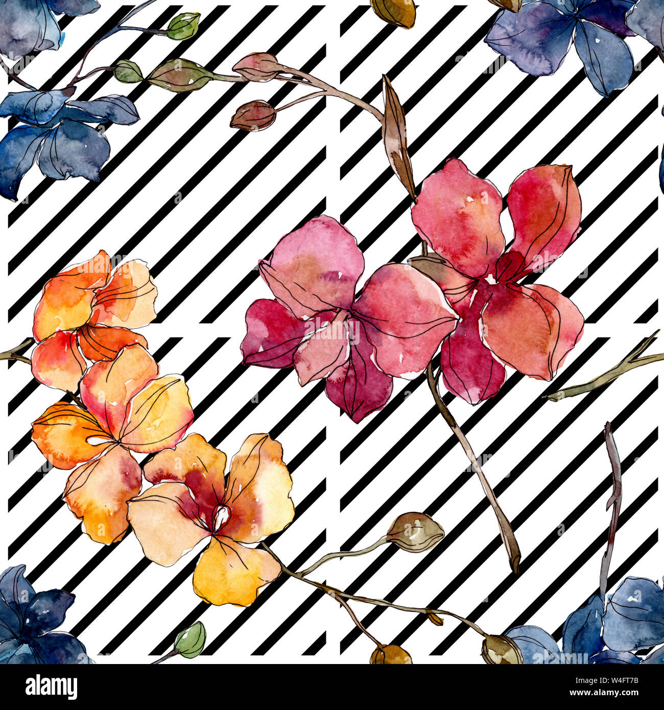 Floral fleurs orchidées botaniques. Printemps sauvage de fleurs sauvages de la feuille. Illustration à l'aquarelle. Aquarelle Dessin aquarelle de mode. Fond transparent Banque D'Images