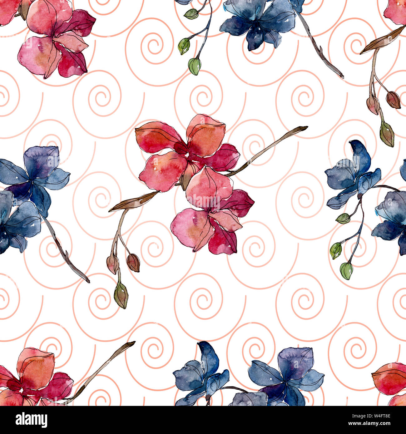 Floral fleurs orchidées botaniques. Printemps sauvage de fleurs sauvages de la feuille. Illustration à l'aquarelle. Aquarelle Dessin aquarelle de mode. Fond transparent Banque D'Images