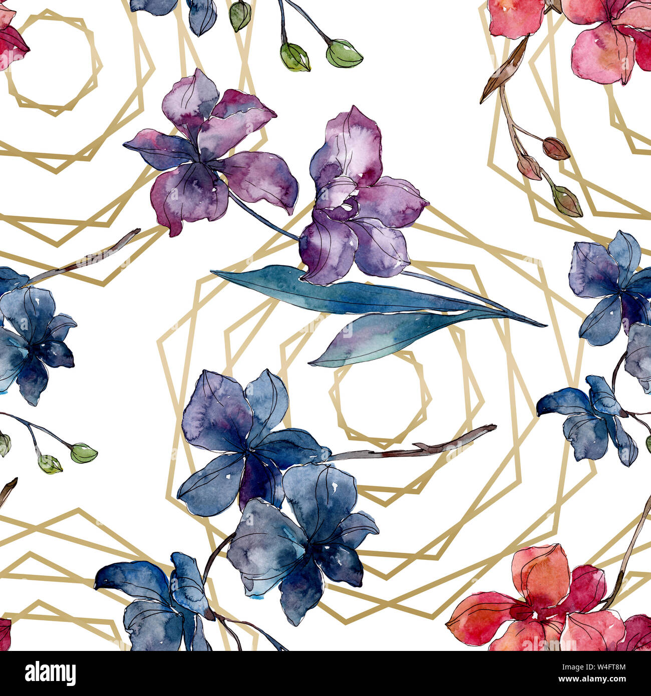 Floral fleurs orchidées botaniques. Printemps sauvage de fleurs sauvages de la feuille. Illustration à l'aquarelle. Aquarelle Dessin aquarelle de mode. Fond transparent Banque D'Images