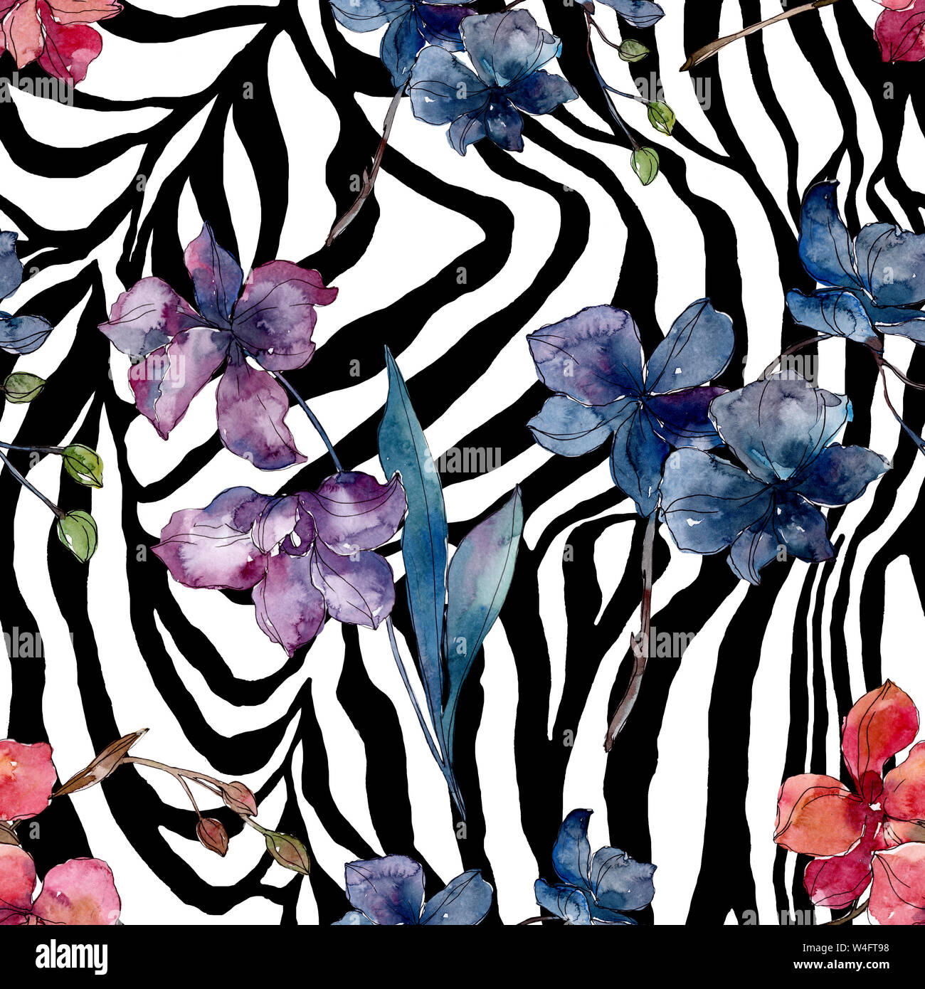 Floral fleurs orchidées botaniques. Printemps sauvage de fleurs sauvages de la feuille. Illustration à l'aquarelle. Aquarelle Dessin aquarelle de mode. Fond transparent Banque D'Images