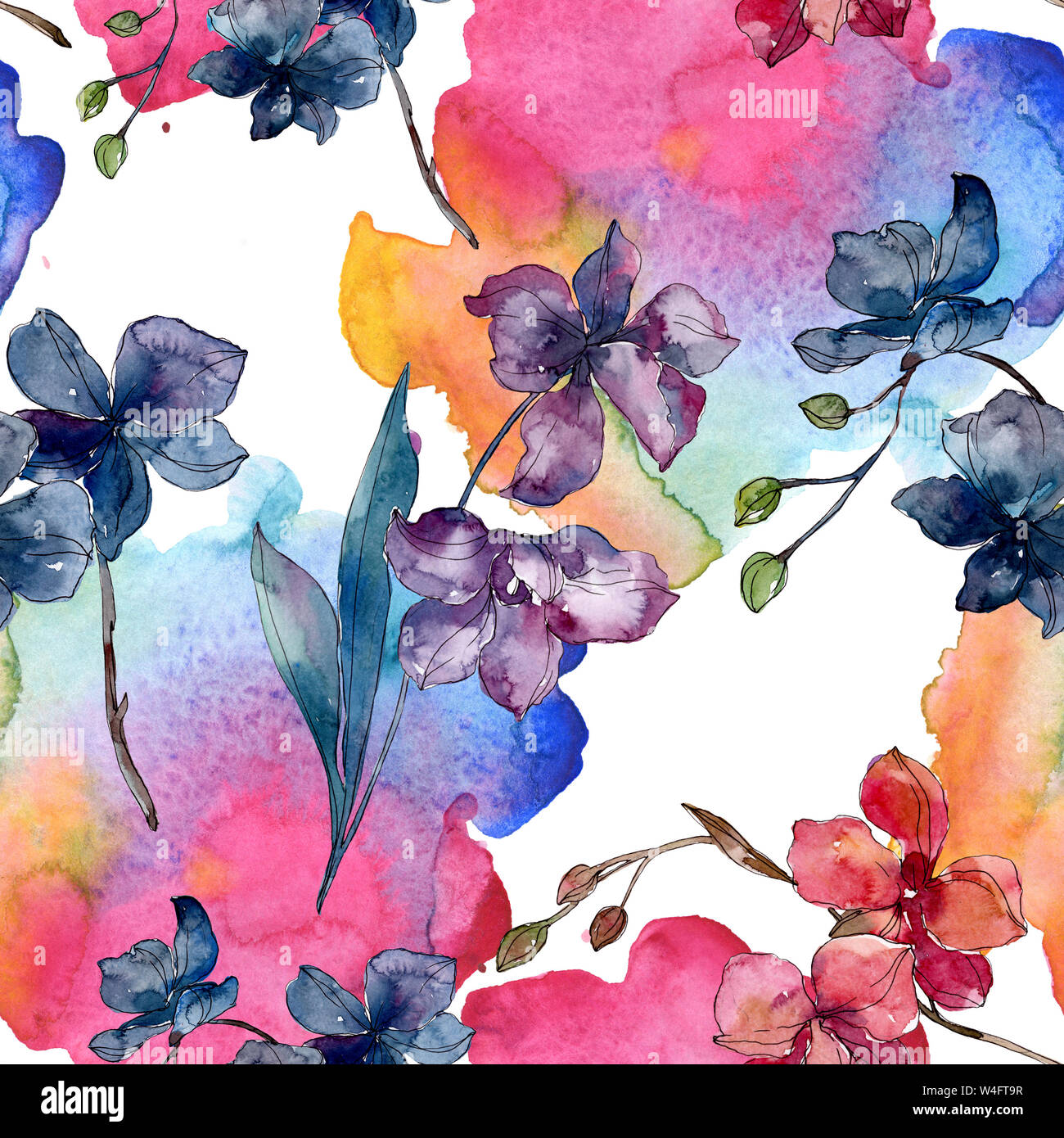 Floral fleurs orchidées botaniques. Printemps sauvage de fleurs sauvages de la feuille. Illustration à l'aquarelle. Aquarelle Dessin aquarelle de mode. Fond transparent Banque D'Images