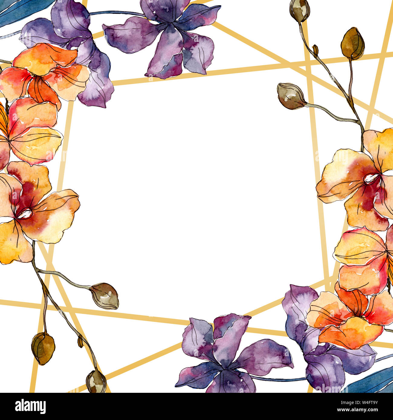 Floral fleurs orchidées botaniques. Lame de ressort sauvages isolés de fleurs sauvages. Contexte aquarelle illustration set. Aquarelle Dessin aquarelle de mode. Banque D'Images