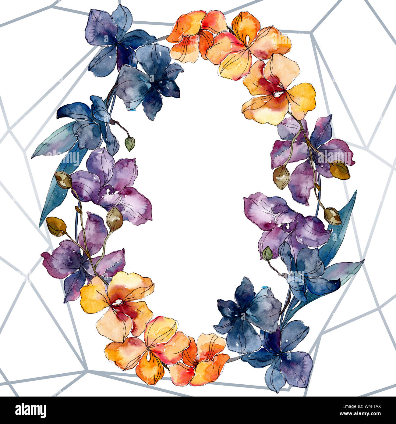 Floral fleurs orchidées botaniques. Lame de ressort sauvages isolés de fleurs sauvages. Contexte aquarelle illustration set. Aquarelle Dessin aquarelle de mode. Banque D'Images