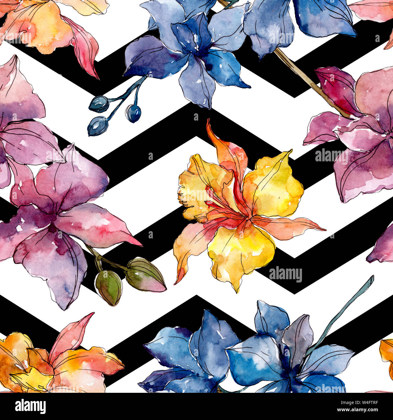 Floral fleurs orchidées botaniques. Printemps sauvage de fleurs sauvages de la feuille. Illustration à l'aquarelle. Aquarelle Dessin aquarelle de mode. Fond transparent Banque D'Images