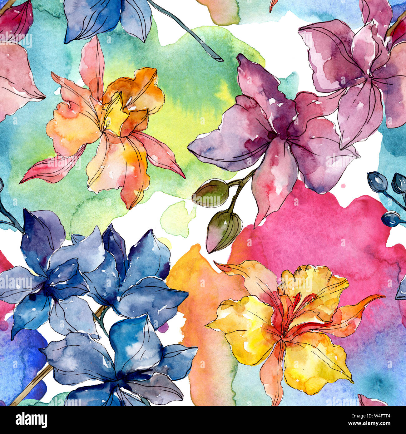 Floral fleurs orchidées botaniques. Printemps sauvage de fleurs sauvages de la feuille. Illustration à l'aquarelle. Aquarelle Dessin aquarelle de mode. Fond transparent Banque D'Images