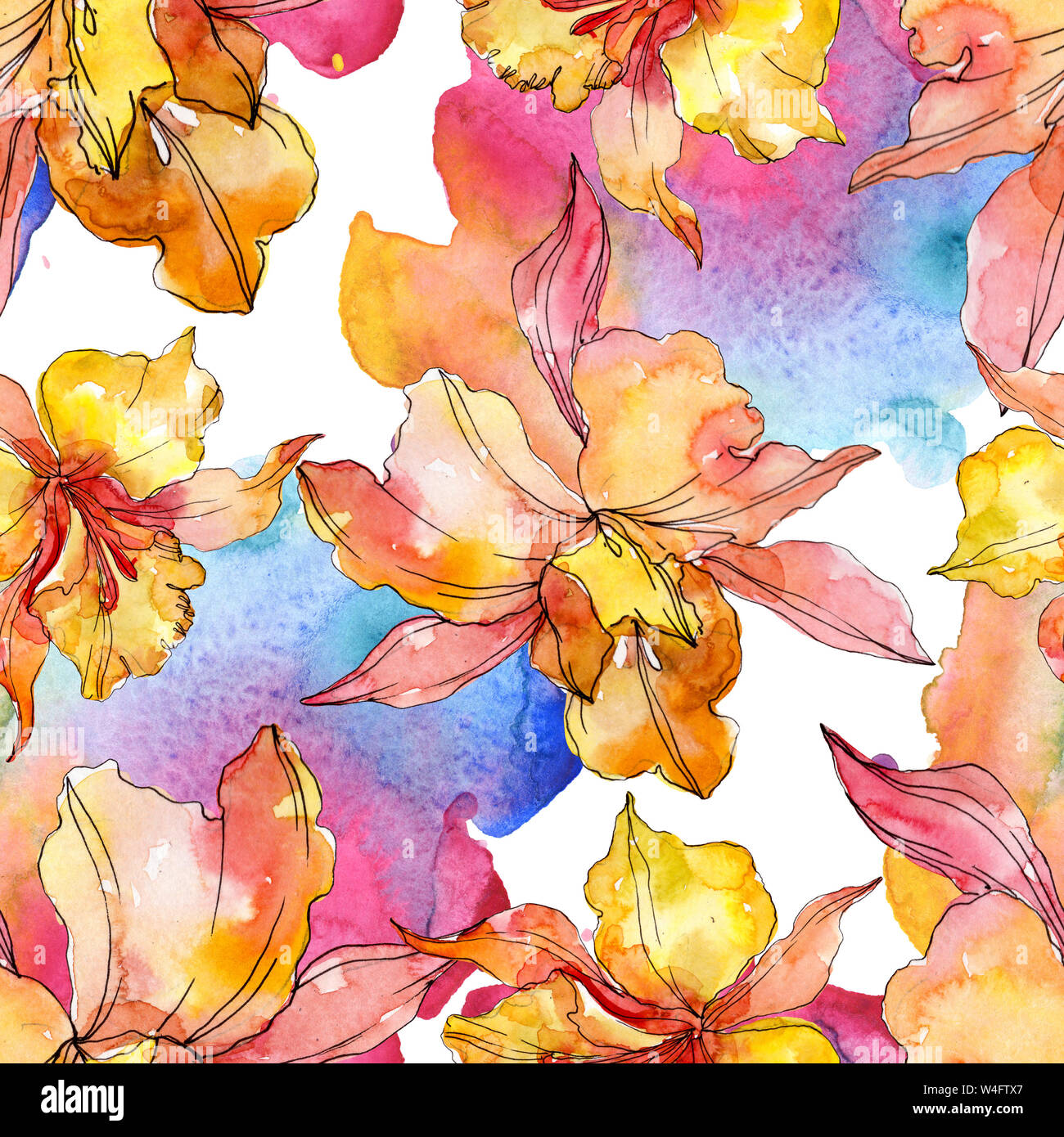 Floral fleurs orchidées botaniques. Printemps sauvage de fleurs sauvages de la feuille. Illustration à l'aquarelle. Aquarelle Dessin aquarelle de mode. Fond transparent Banque D'Images