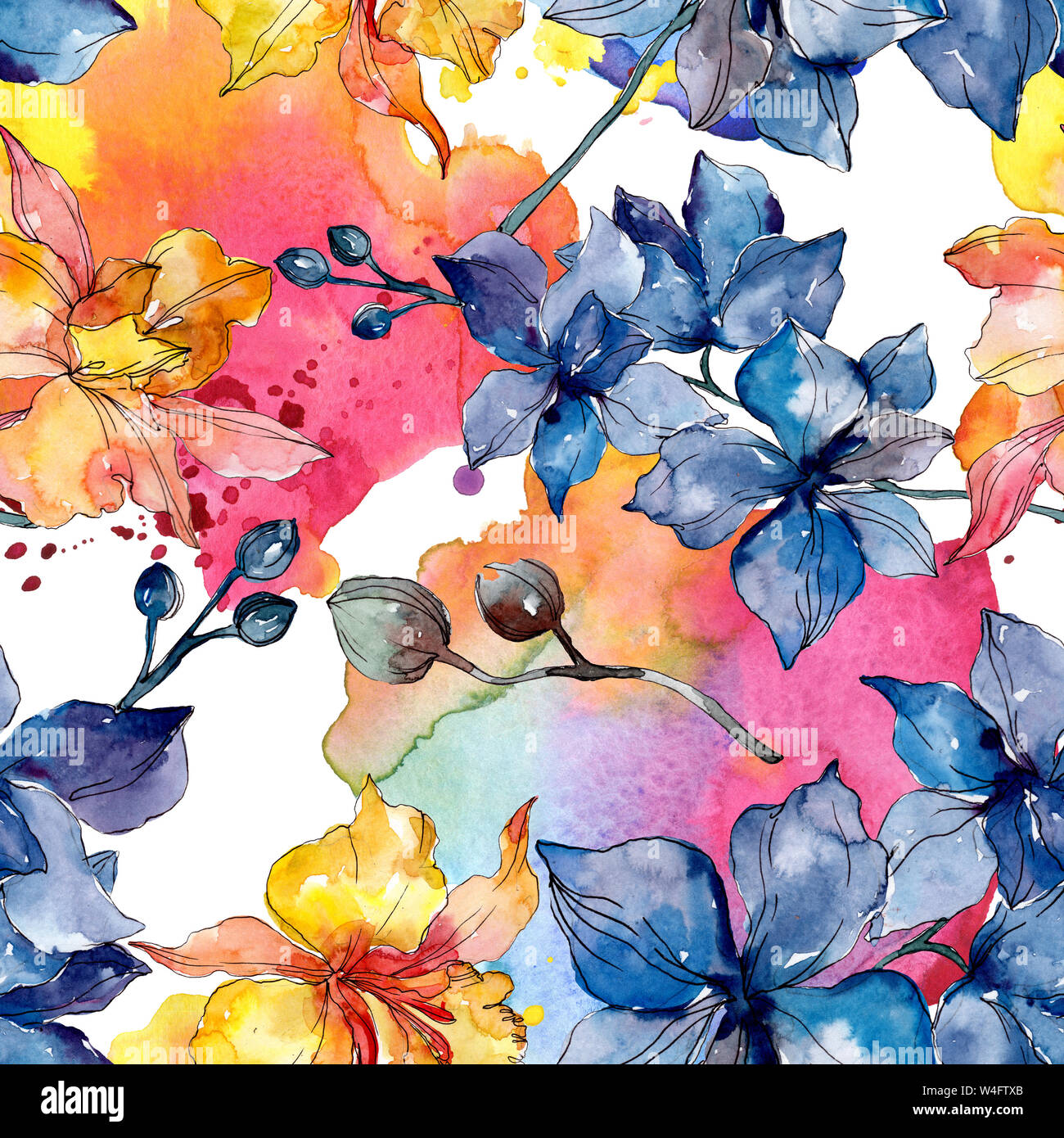 Floral fleurs orchidées botaniques. Printemps sauvage de fleurs sauvages de la feuille. Illustration à l'aquarelle. Aquarelle Dessin aquarelle de mode. Fond transparent Banque D'Images