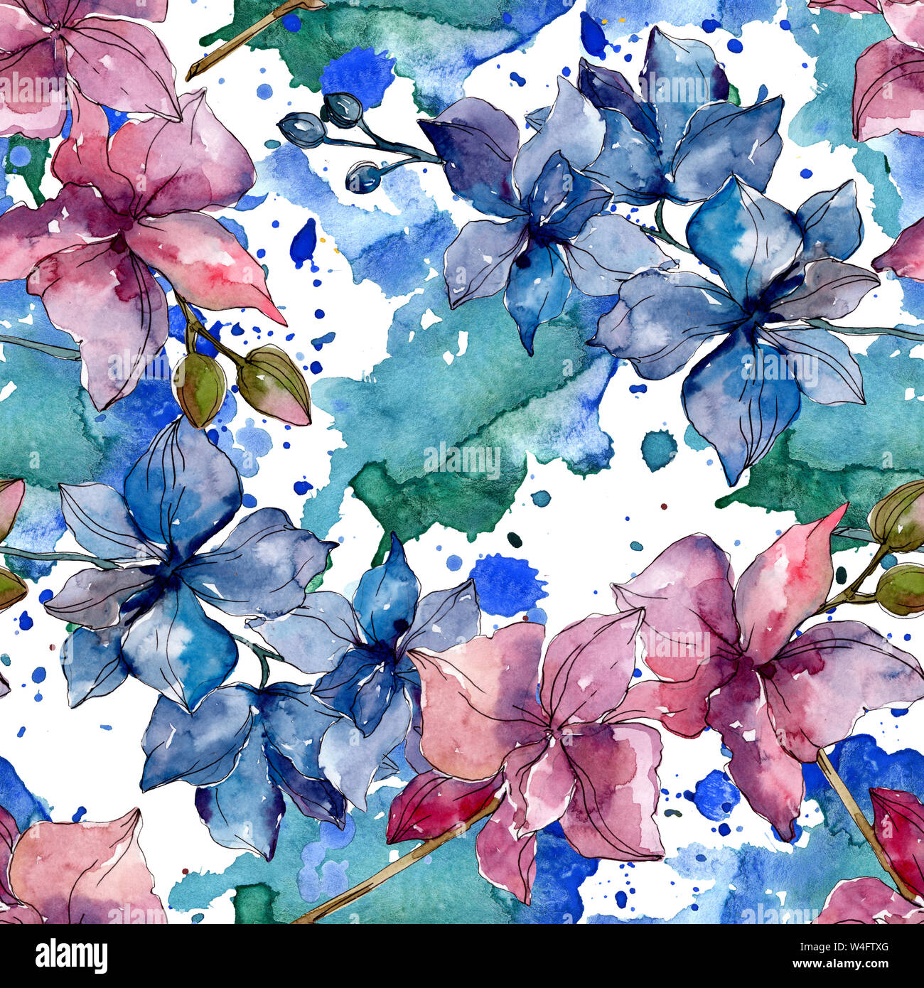 Floral fleurs orchidées botaniques. Printemps sauvage de fleurs sauvages de la feuille. Illustration à l'aquarelle. Aquarelle Dessin aquarelle de mode. Fond transparent Banque D'Images